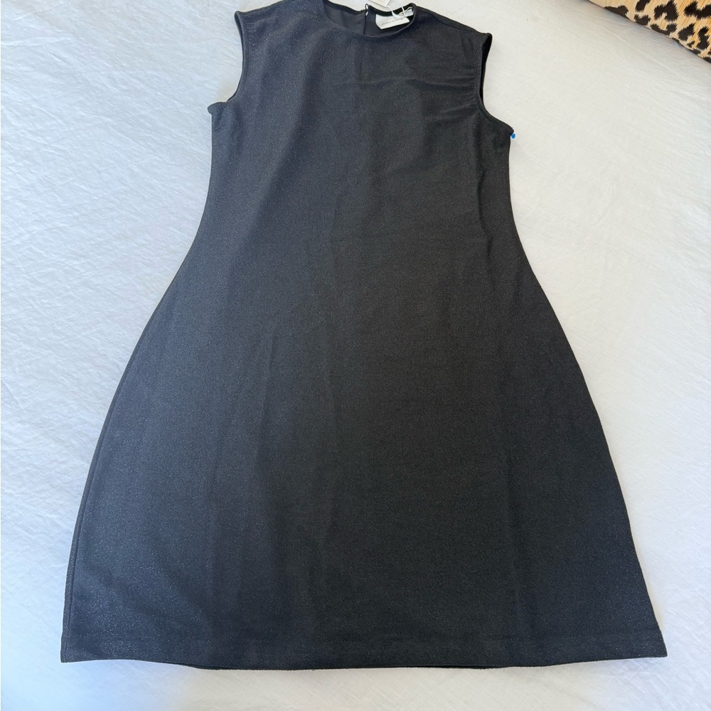 Chic Black Sleeveless Mini Dress